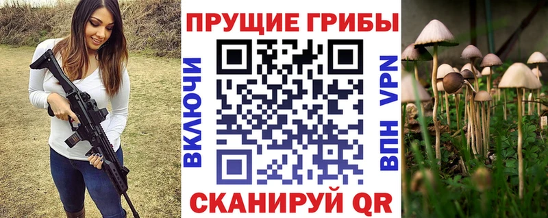 MEGA как войти  Красный Холм  Галлюциногенные грибы GOLDEN TEACHER  где купить наркоту 