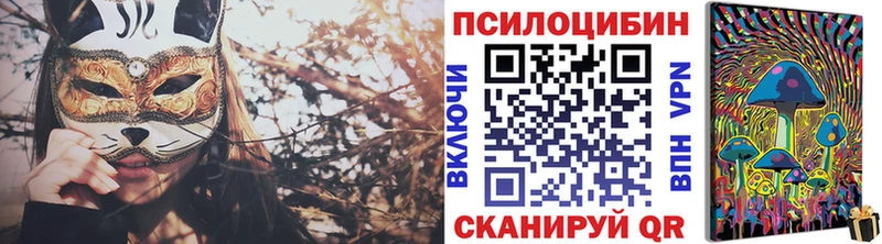 Галлюциногенные грибы Psilocybe Красный Холм